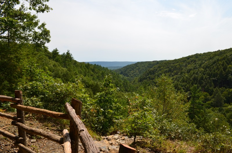 Delaware Valley