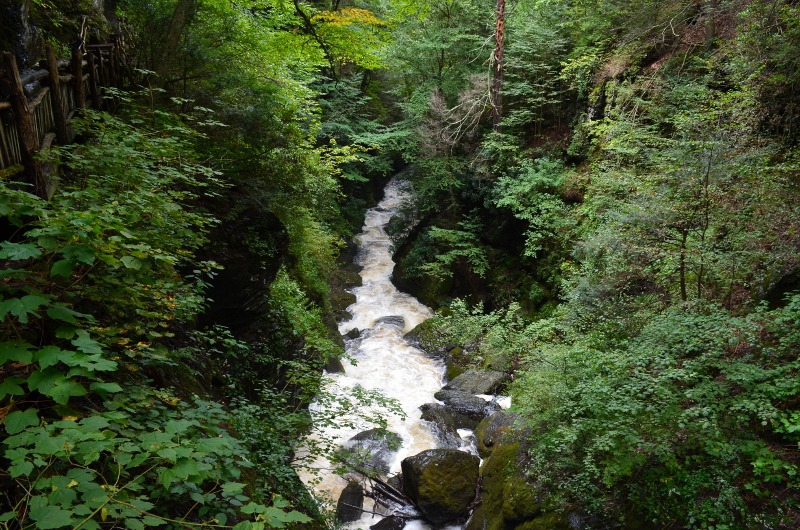 Hiking Bushkill Falls