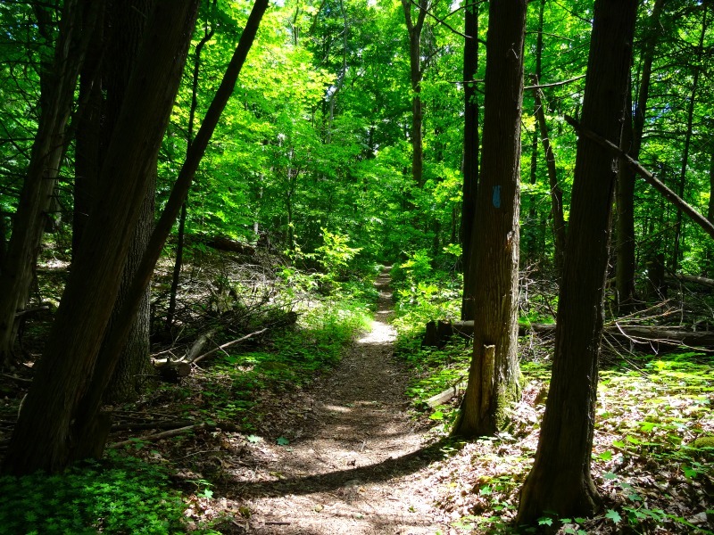 stay on the trail