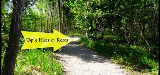 Top 5 Hikes in Korea