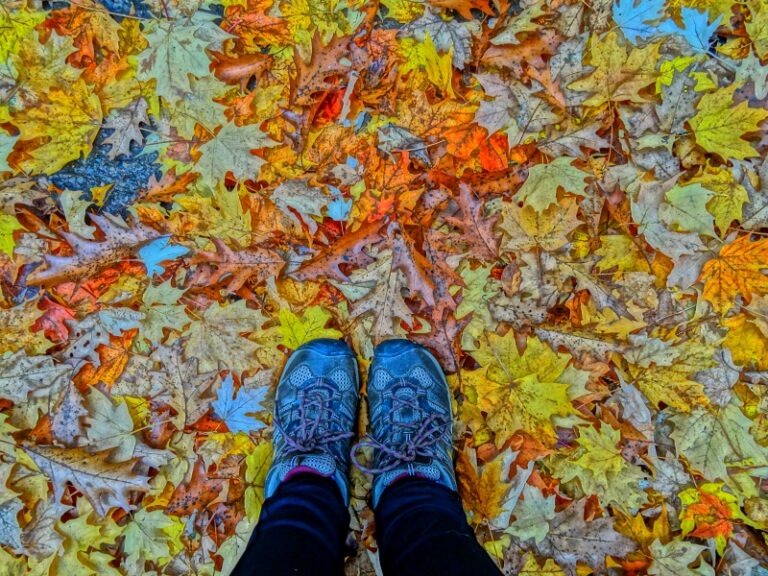 +15 Fantastic Places to See Ontario Fall Colours