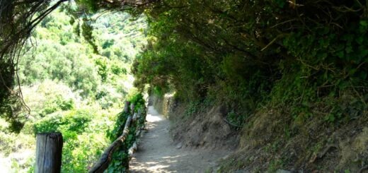 Cinque Terre blue trail