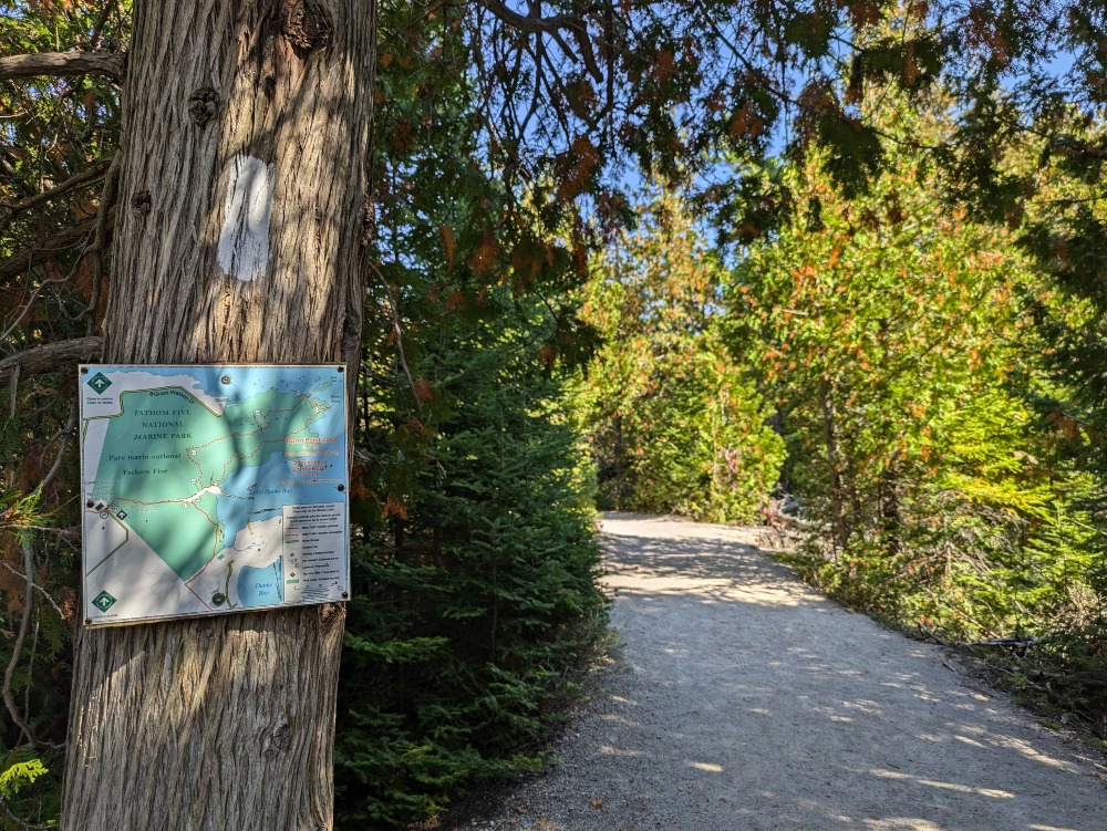 Burnt Point Loop trail in Bruce Peninsula Park. The trail is lined with dense trees with a sign on the tree