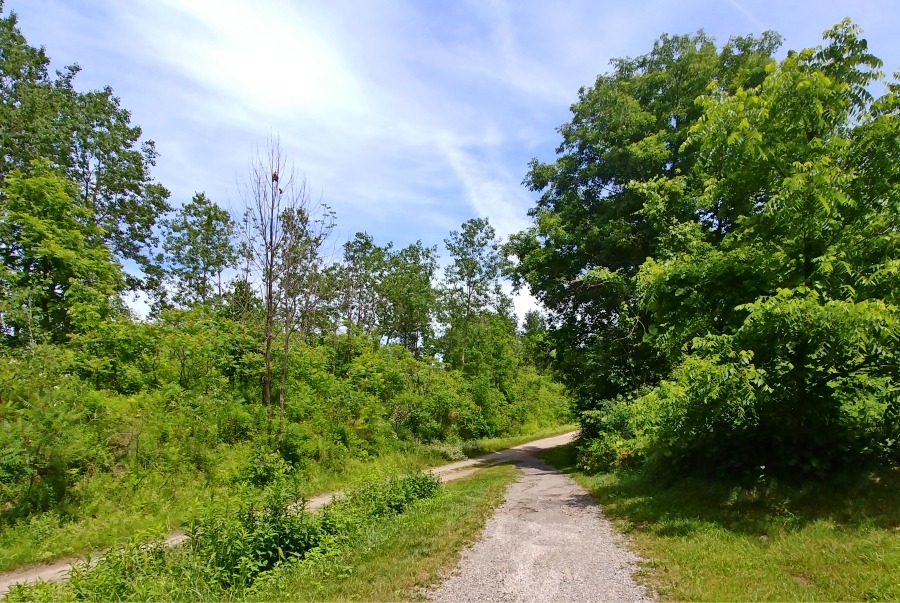 Rail Trail access in Brant County