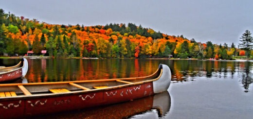 Muskoka in the fall by canoe