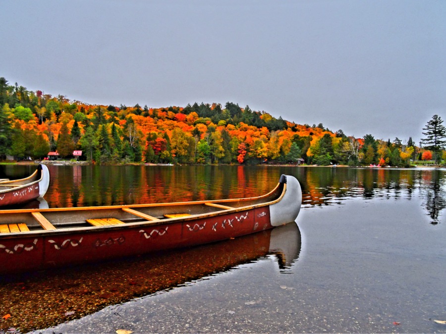 Muskoka in the fall by canoe