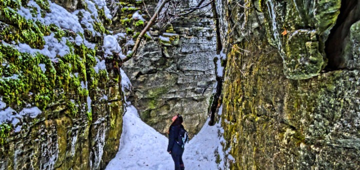 Nottawasaga Bluffs' Keyhole Trail in winter is one of the best Simcoe County hikes