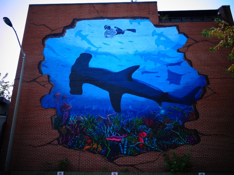 Shark Mural in Toronto