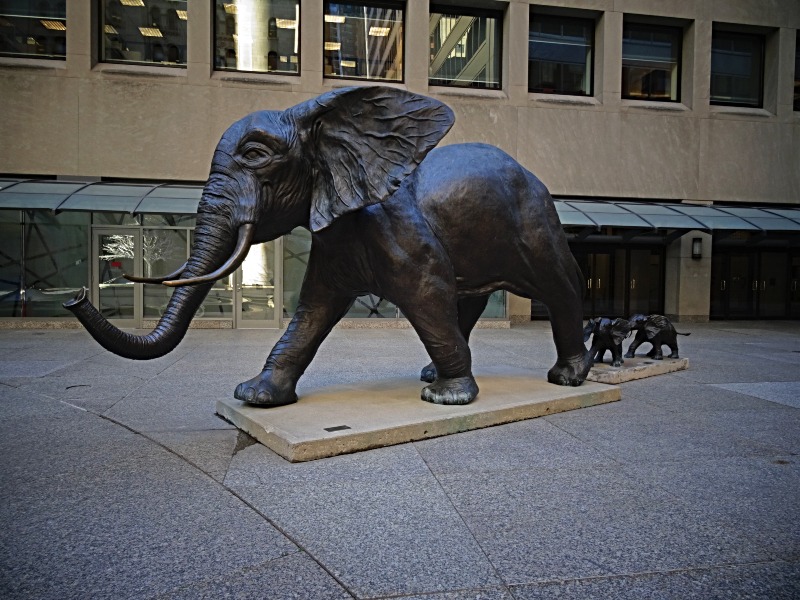 elephant statue in Toronto