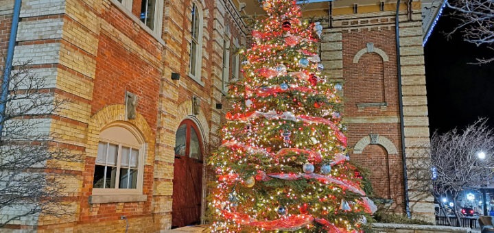 Large Christmas tree lit up at night standing in front of old historic building