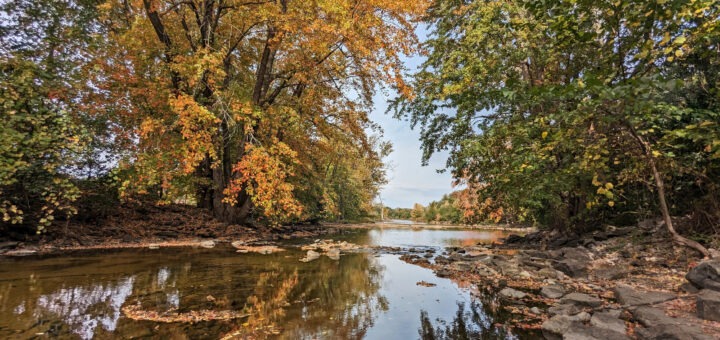 Trees covering a shallow river with fall colours reflecting in the water.