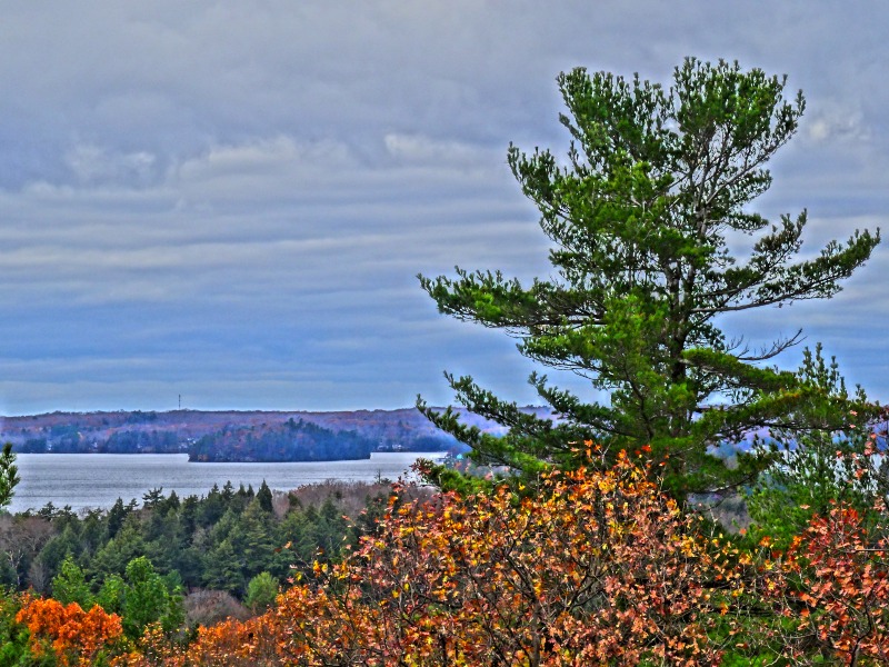 hiking in Muskoka - Huckleberry Rock Lookout