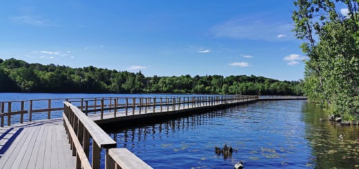 Hunter's Bay Trail in Huntsville