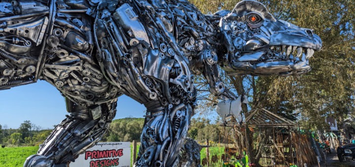 Primitive Designs in Port Hope