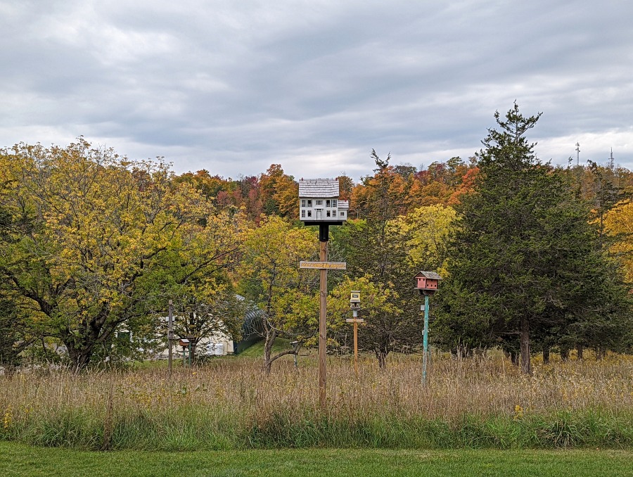 Birdhouse City in Macaulay Mountain Conservation Area