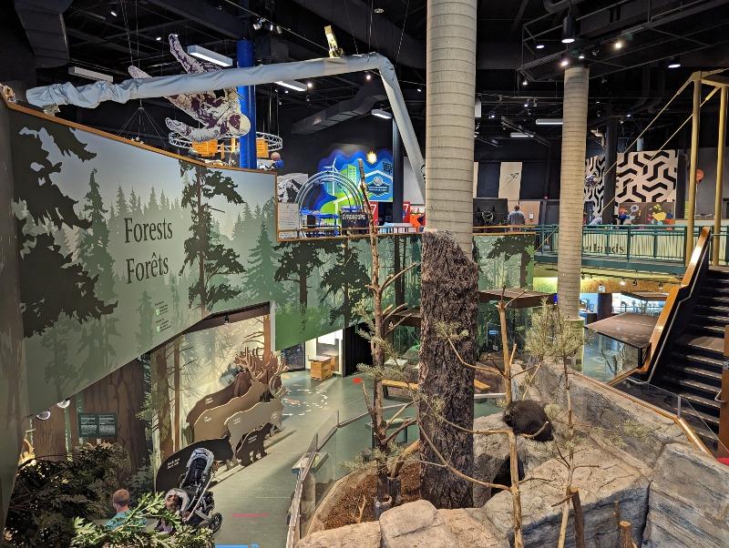 Science North forest exhibit