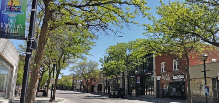 downtown Orillia with trees full of green leaves lining the street