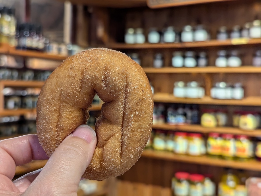 Hand holding up an apple cider donut at Tyrone Mills with jars on shelves blurred in the backround.