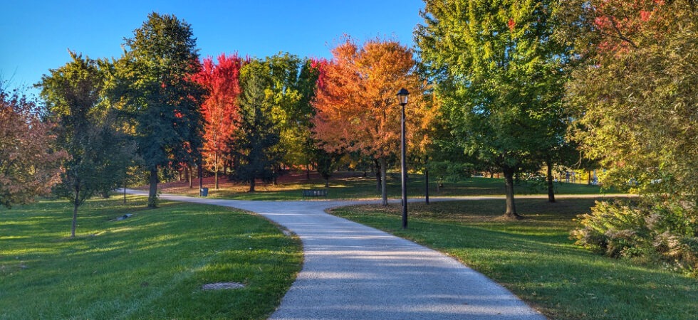 Paved trail lined with grass and in the distance is a handful of trees with green, orange and red leaves.