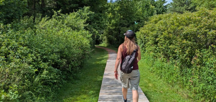 Lady hiking along a boardwalk in Thousand Islands National Park