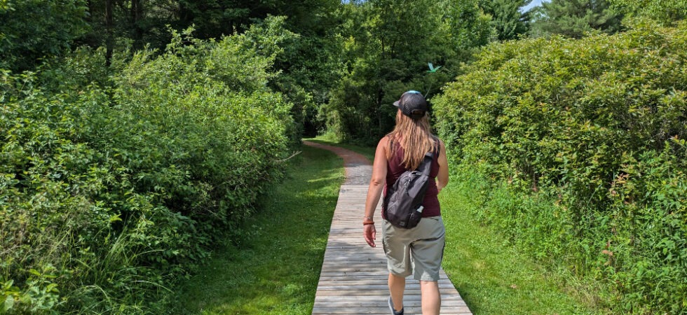 Lady hiking along a boardwalk in Thousand Islands National Park