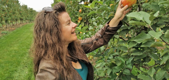 me picking apples in Ontario