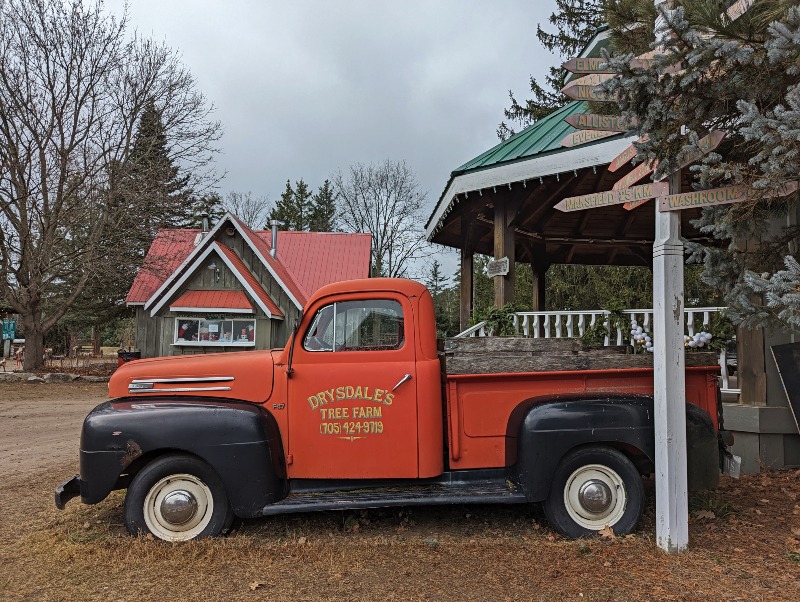 Old truck parked beside gazebo at Drysdale's Tree Farm