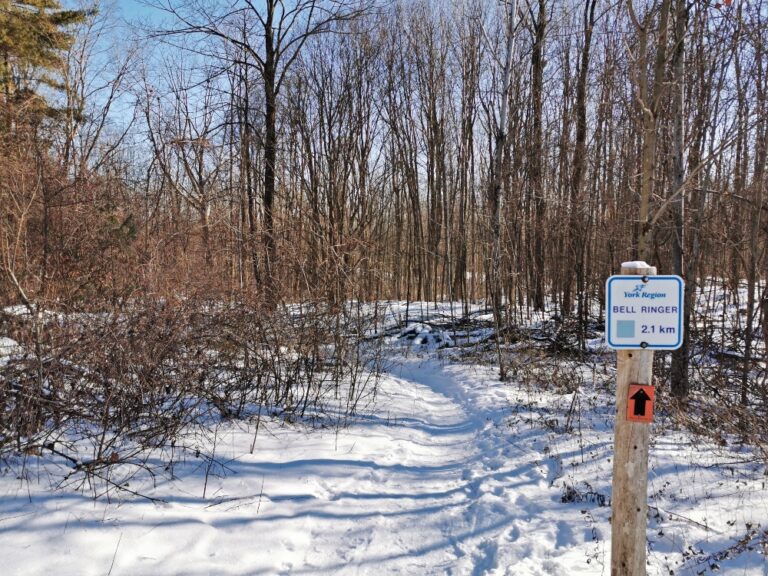 10 Amazing Places to Snowshoe in Ontario