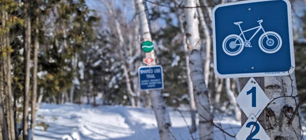 fat biking trail in Kivi Park with sign on a tree in the foreground. Snow covering the ground of the trail and through the forest that lines the trail.