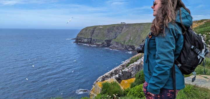 Me looking out along clifftop view with birds flying along the coast of Cape St. Mary’s Ecological Reserve
