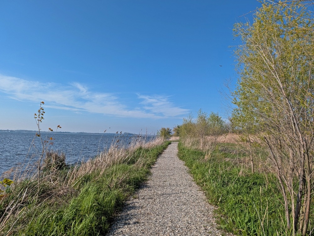 Marsh Trail at Rondeau Provincial Park with water on the left side