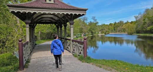 Me walking onto Pagoda Bridge in Jackson Park in Peterborough, looking out at the pond