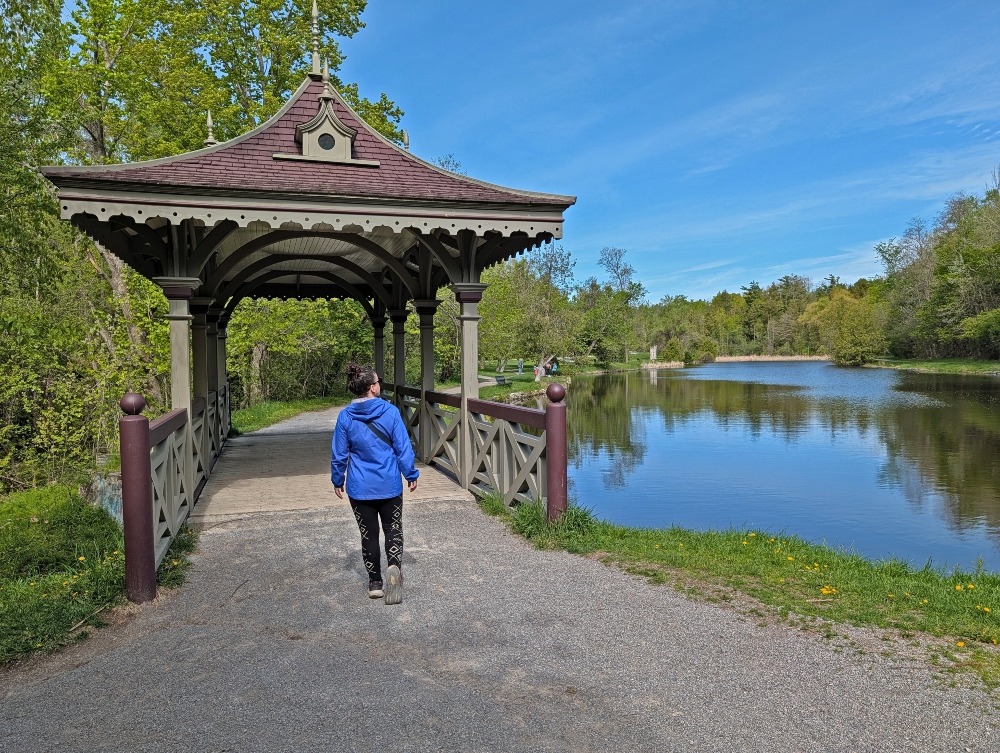 Me walking onto Pagoda Bridge in Jackson Park in Peterborough, looking out at the pond