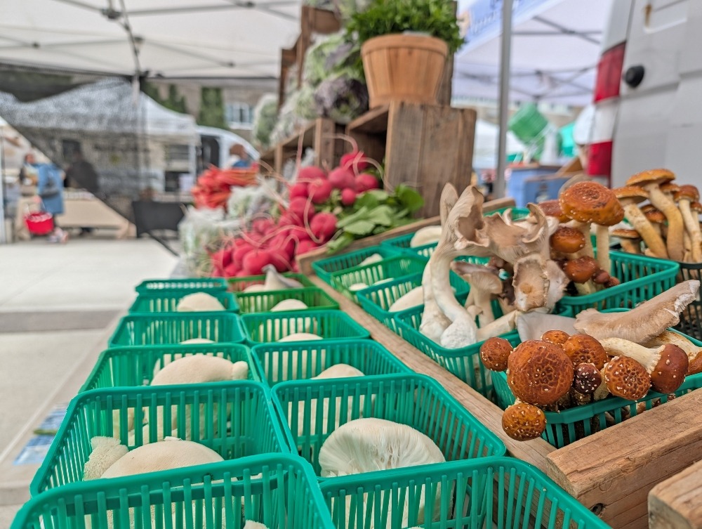 Mushrooms and produce at Peterborough's Regional Farmers Market