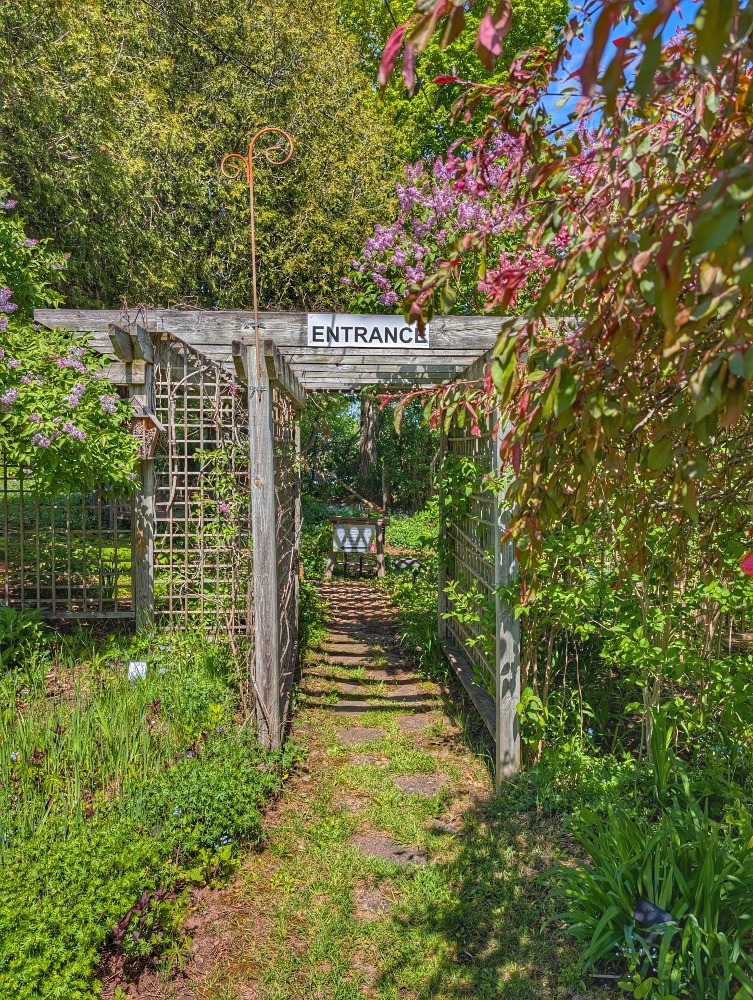 arbor entrance to Gardens Plus, surrounded by trees, plants and flowers