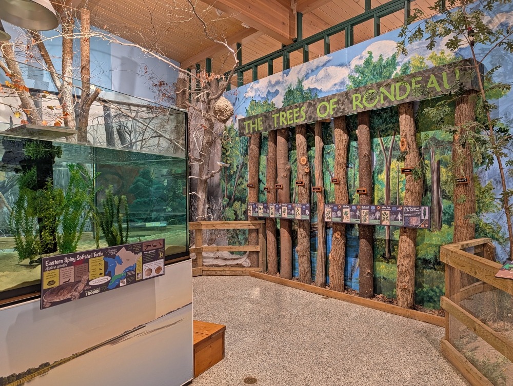 tree exhibit at Visitors Centre in Rondeau Provincial Park