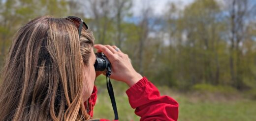 person with binoculars birding in John E. Pearce Provincial Park