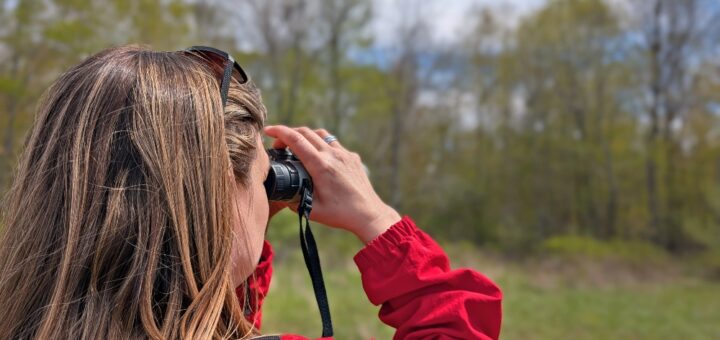 person with binoculars birding in John E. Pearce Provincial Park