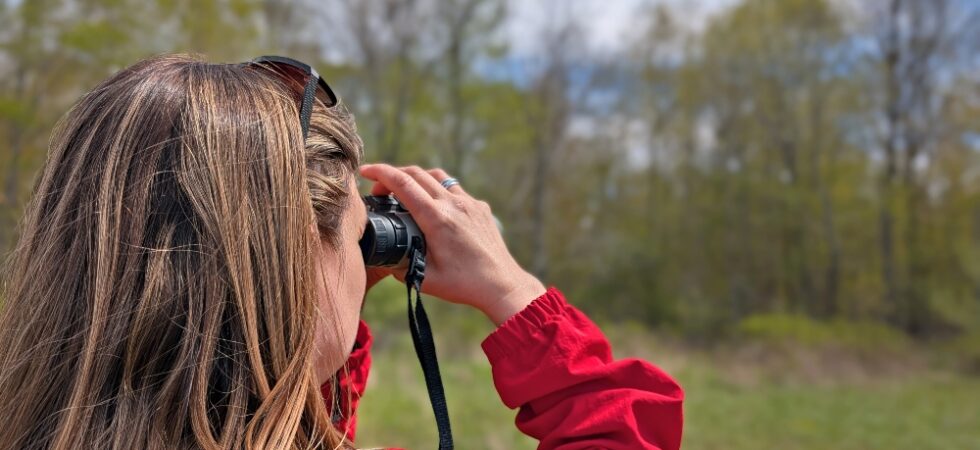 person with binoculars birding in John E. Pearce Provincial Park