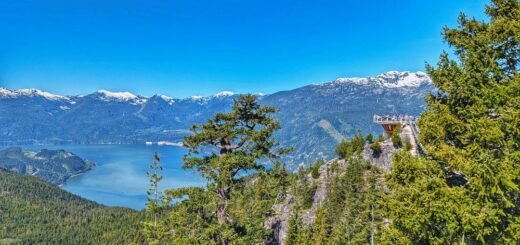 views from one of the lookouts at Sea to Sky Gondola in Squamish. Views of Howe Sound and snow capped mountains in the distance and trees up close