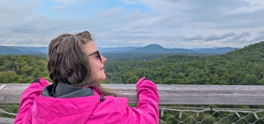 me enjoying the views of the Laurentians from the top of the Sentier des Cimes