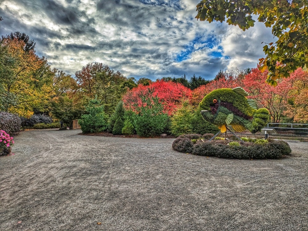 the trail at the Floral Showcase with fall colours
