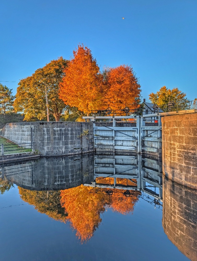 Trees with fall foliage reflecting in the waters next to a lock on Rideau Canal